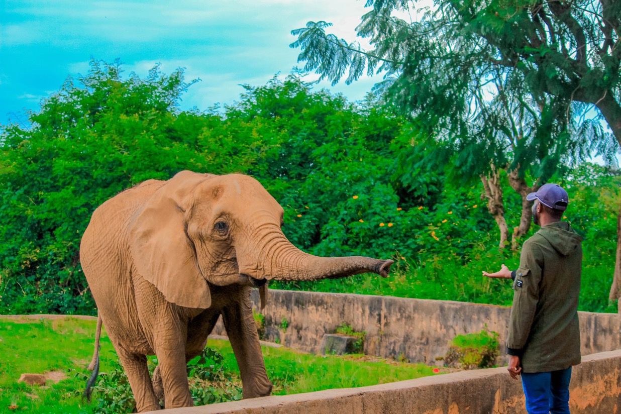 Jos National Museum & Wildlife Park, Plateau State