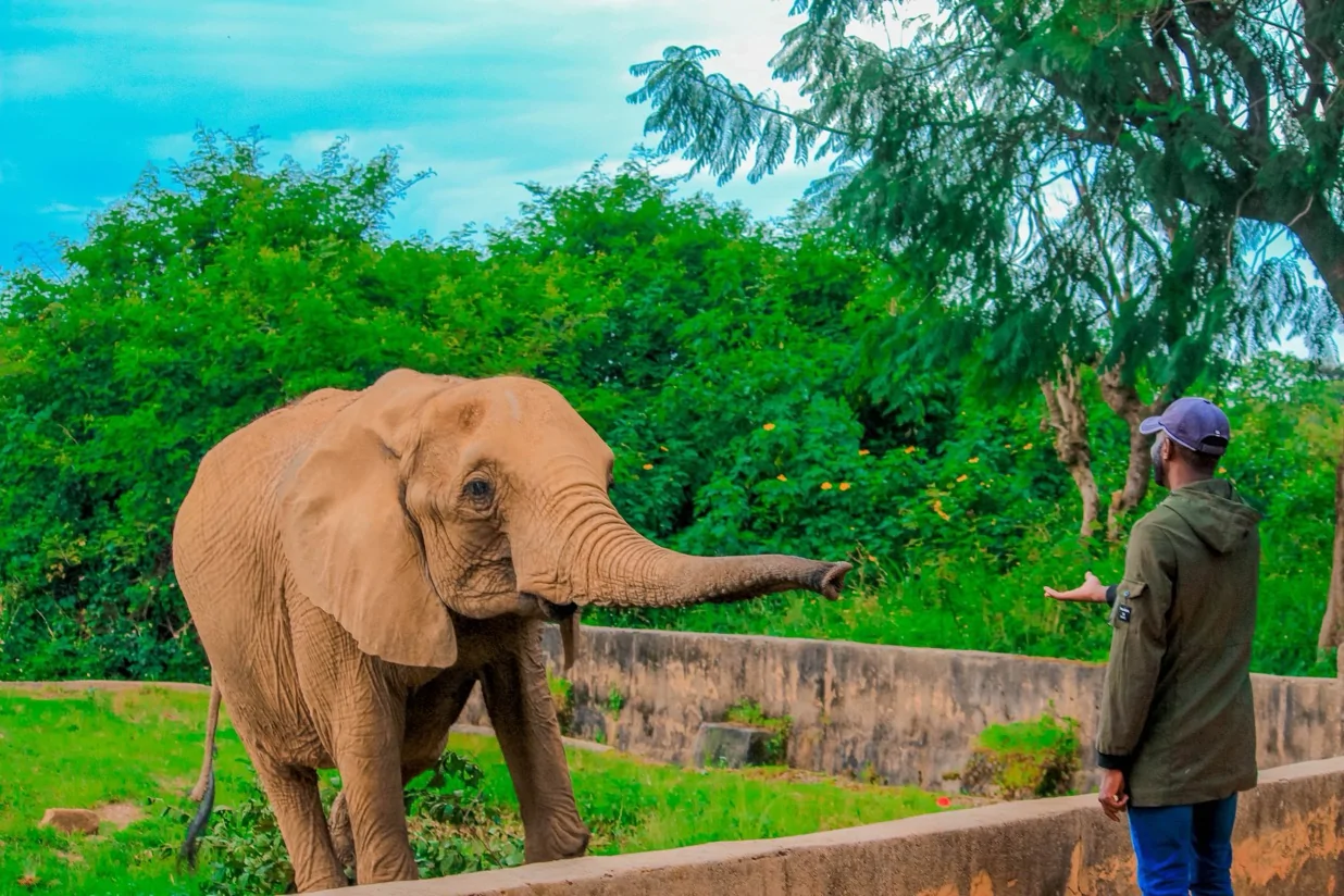 Jos National Museum & Wildlife Park, Plateau State