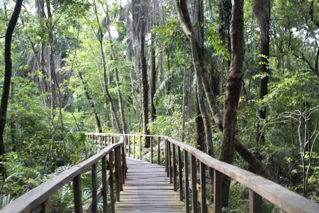 Lekki Conservation Centre, Lagos