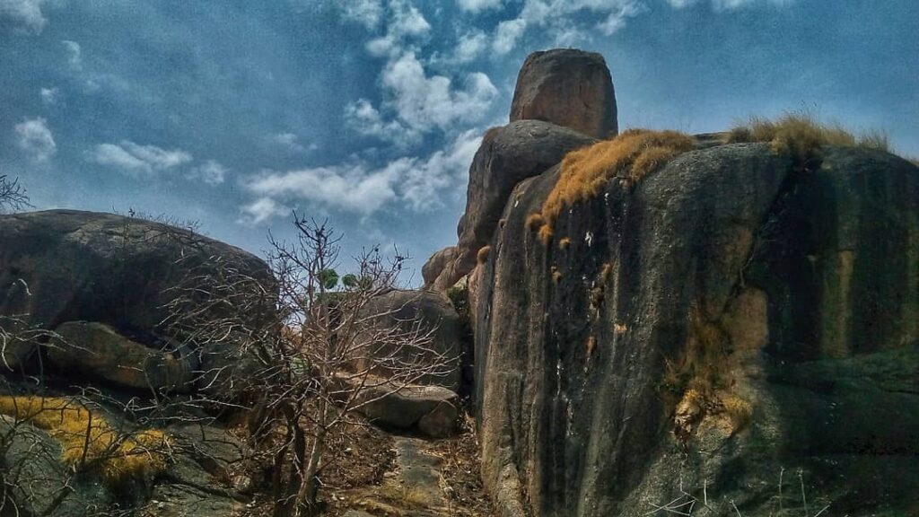 Shere Hills, Jos